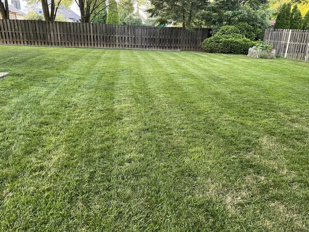 Local residential landscaping for homes in Dublin, OH by Crawford Lawn Solutions