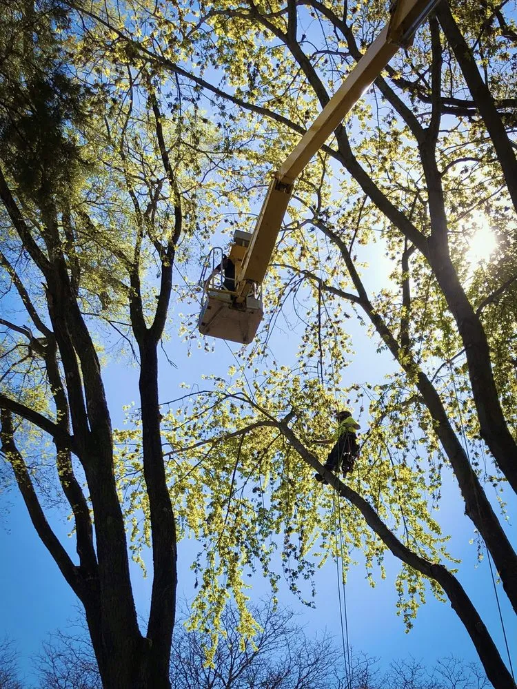 Reliable garden landscaping in Milwaukee, WI by Crawford Tree & Landscape Services