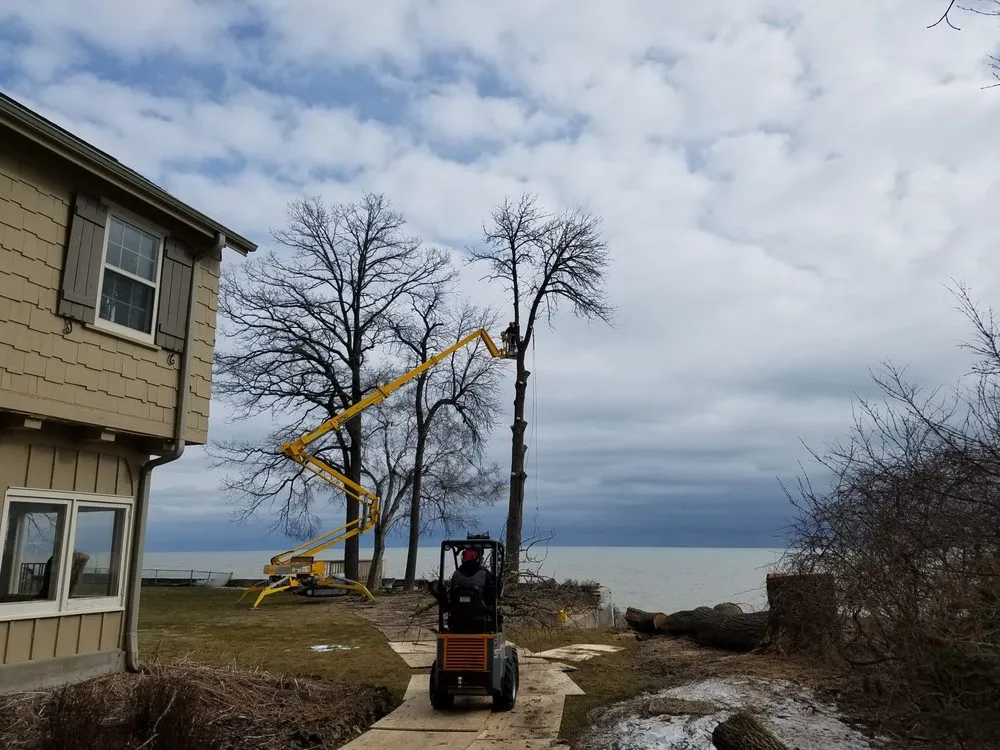 Expert outdoor landscaping experts serving Milwaukee, WI - Crawford Tree & Landscape Services