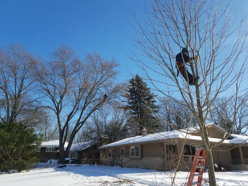 Top-rated garden landscaping in Milwaukee, WI by Crawford Tree & Landscape Services