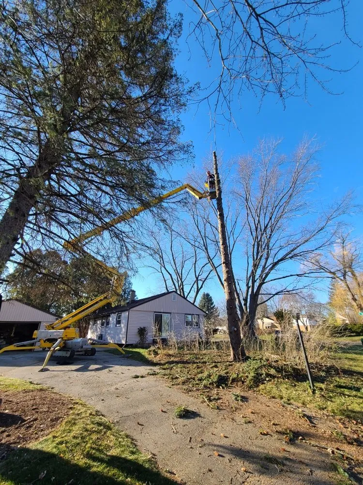 Custom lawn care service experts serving Milwaukee, WI - Crawford Tree & Landscape Services