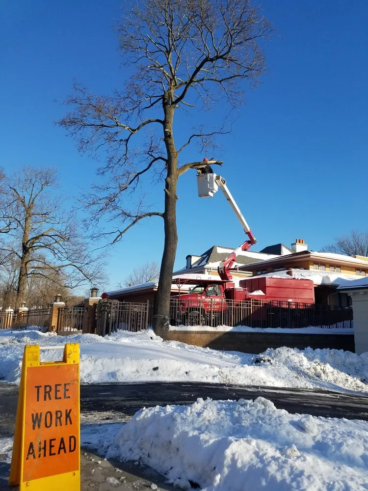 Affordable yard cleanup service near you in Milwaukee, WI by Crawford Tree & Landscape Services