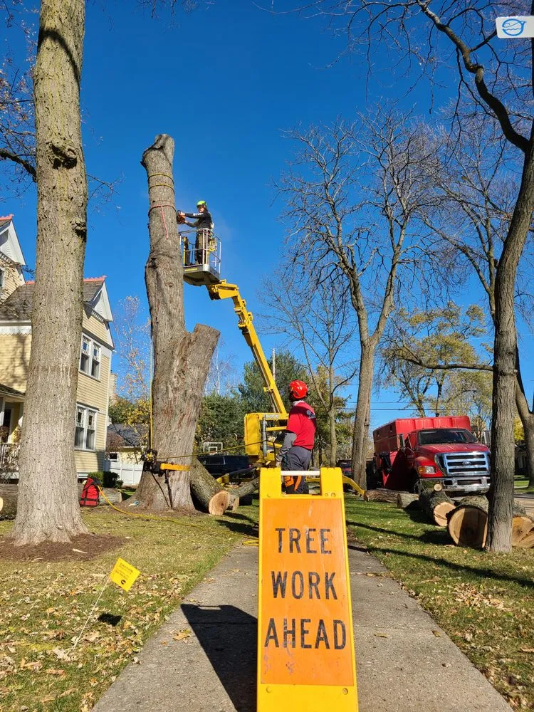 Reliable lawn care service in Milwaukee, WI by Crawford Tree & Landscape Services