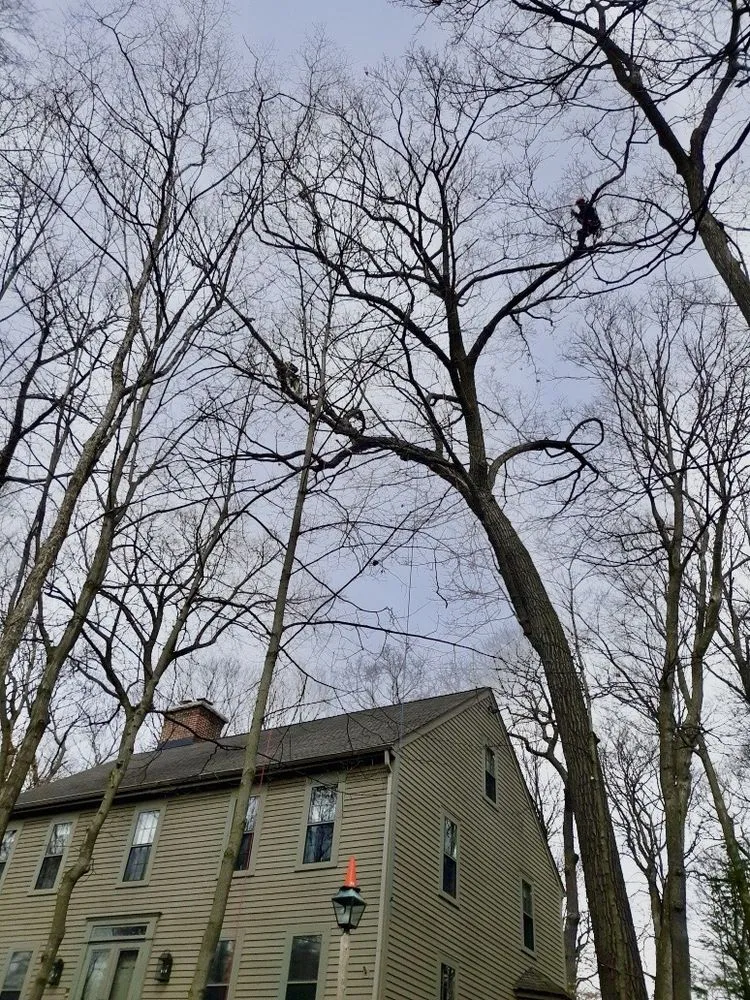 Local landscaping services in Milwaukee, WI by Crawford Tree & Landscape Services