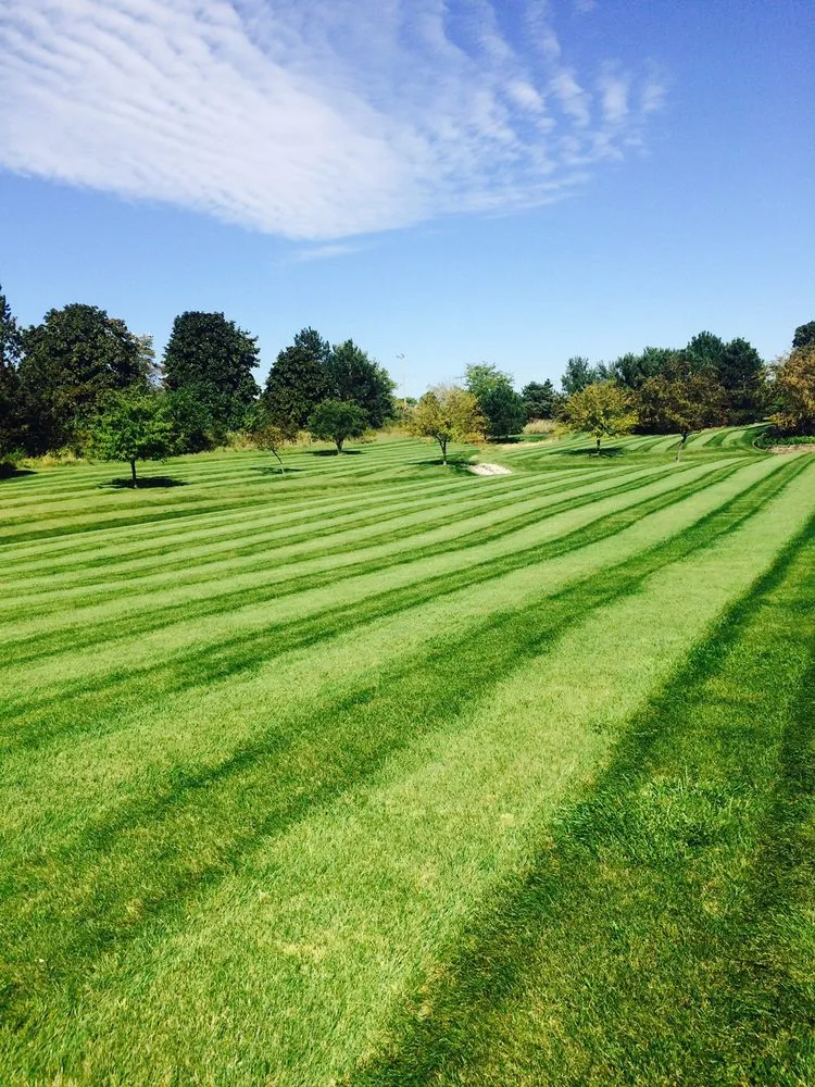 Reliable yard maintenance experts serving Milwaukee, WI - Crawford Tree & Landscape Services