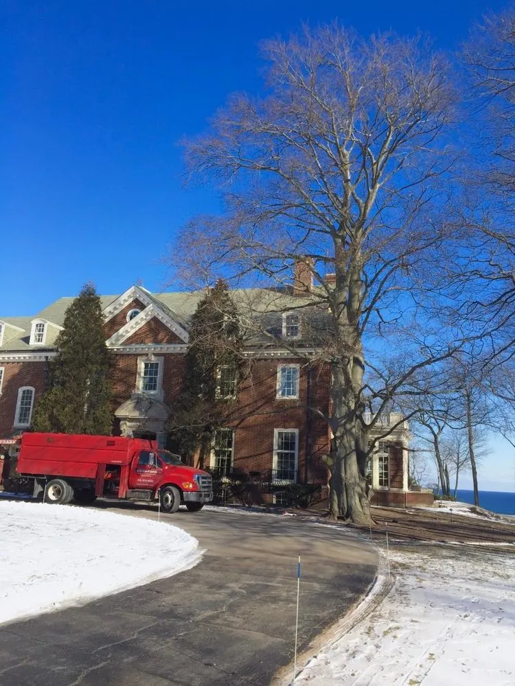 Trusted lawn care service for residential properties in Milwaukee, WI by Crawford Tree & Landscape Services