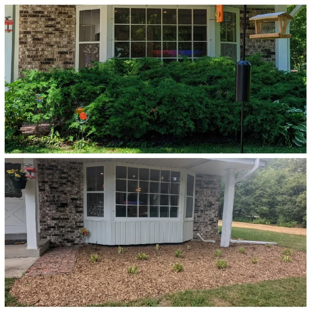 Custom yard cleanup service for beautiful yards in Milwaukee, WI by Crawford Tree & Landscape Services