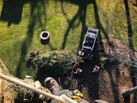 Professional landscape design near you in Milwaukee, WI by Crawford Tree & Landscape Services