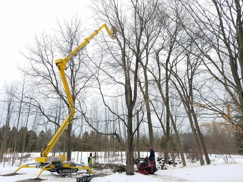 Top-rated yard maintenance for beautiful yards in Milwaukee, WI by Crawford Tree & Landscape Services