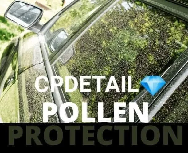 Affordable lawn care service for year-round maintenance in Tuscaloosa, AL by Crawford's Professional Detailing