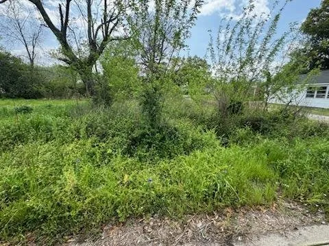 Trusted landscaping services experts serving Effingham, SC - Crawfords Trash And Grave Restoration Services