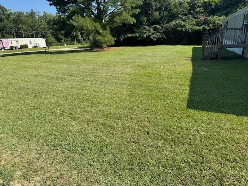 Affordable lawn care service in Effingham, SC by Crawfords Trash And Grave Restoration Services