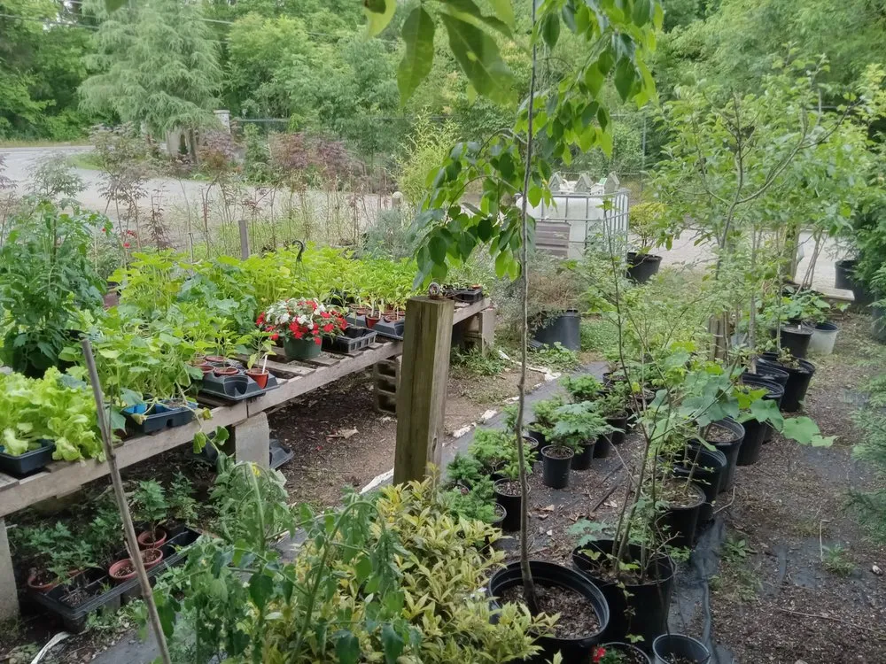 Professional residential landscaping experts serving Cleveland, TN - Crazy Art’s Nursery