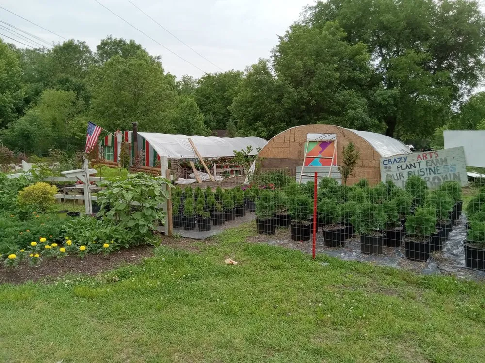 Affordable garden landscaping for year-round maintenance across Cleveland, TN - Crazy Art’s Nursery