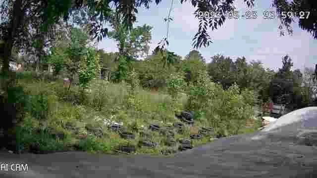 Affordable landscape design for beautiful yards across Cleveland, TN - Crazy Art’s Nursery