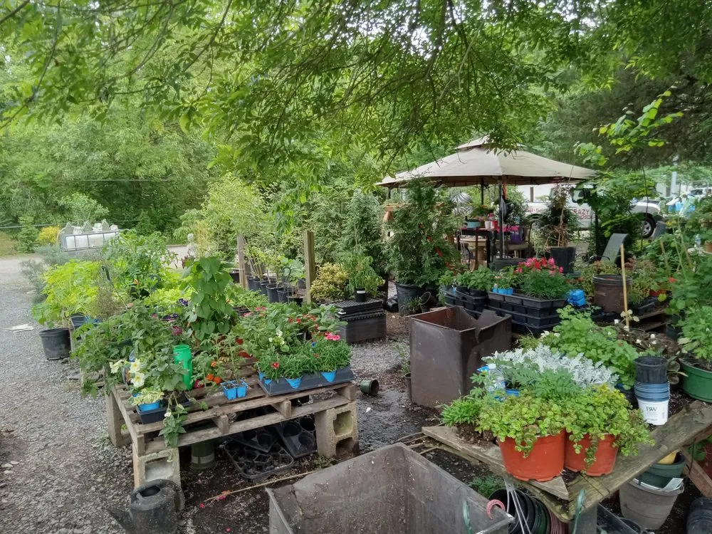 Expert yard cleanup service experts serving Cleveland, TN - Crazy Art’s Nursery