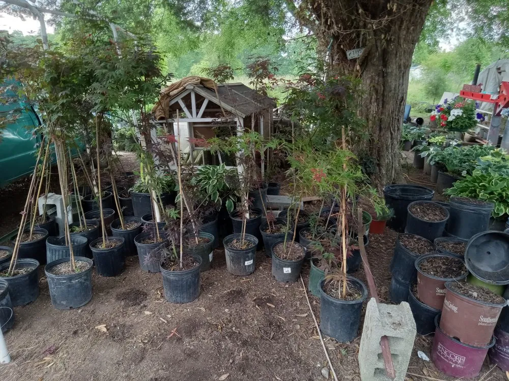 Local landscape installation in Cleveland, TN - Crazy Art’s Nursery