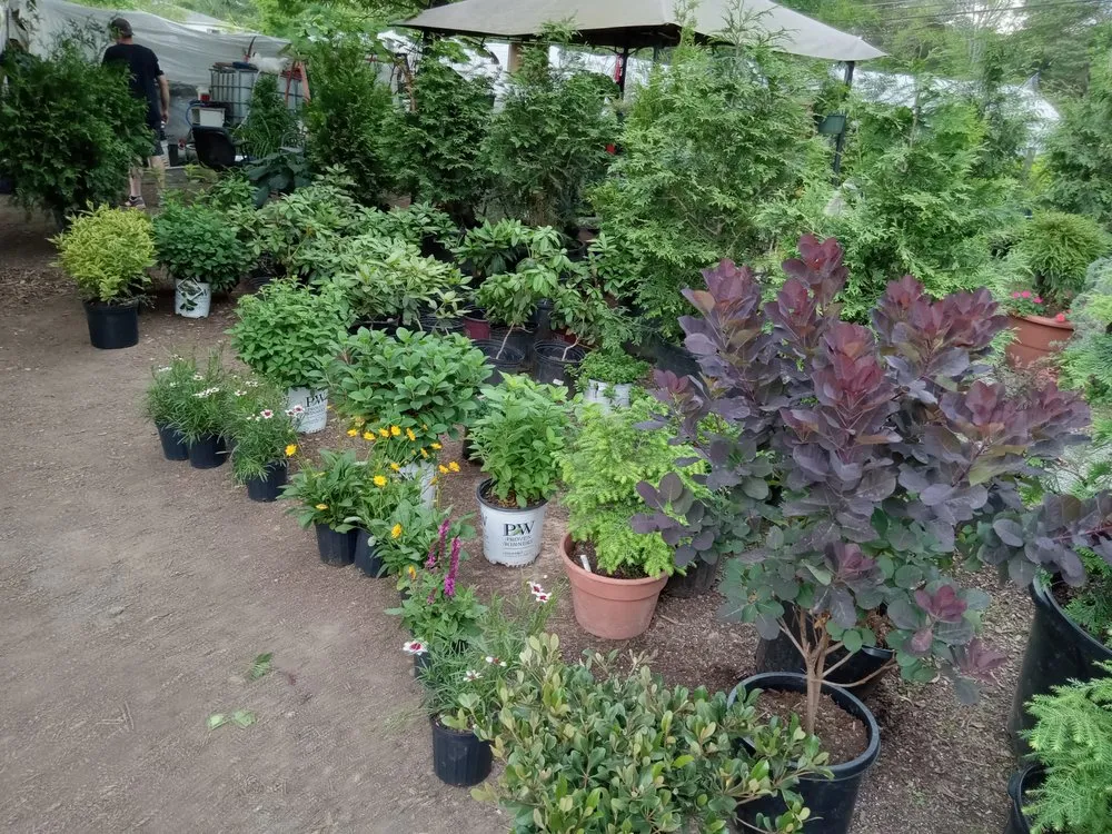 Reliable yard maintenance experts serving Cleveland, TN - Crazy Art’s Nursery