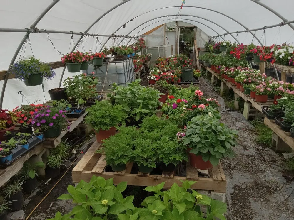 Custom garden landscaping in Cleveland, TN - Crazy Art’s Nursery