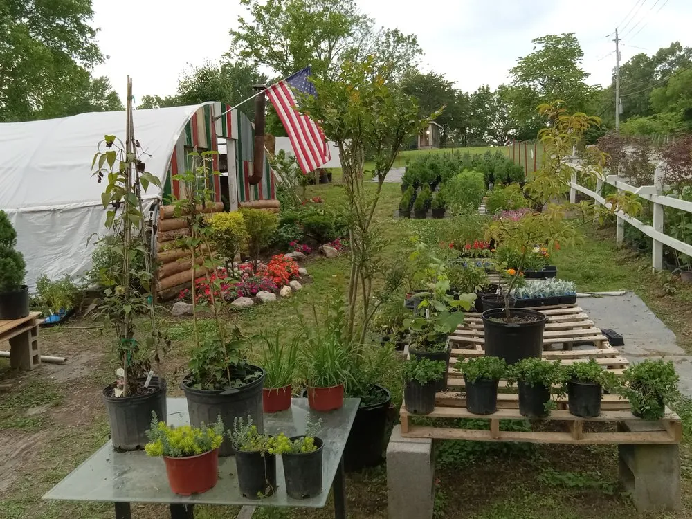 Trusted lawn mowing service experts serving Cleveland, TN - Crazy Art’s Nursery