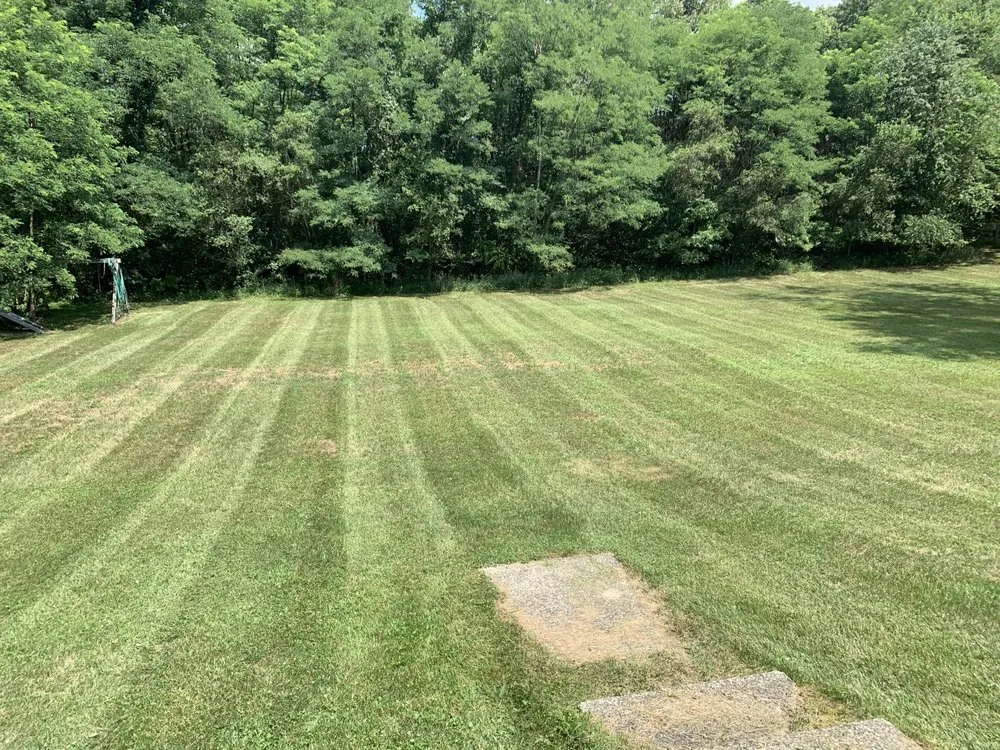 Local landscaping services for residential properties in New Carlisle, IN by Crazy As Landscaping