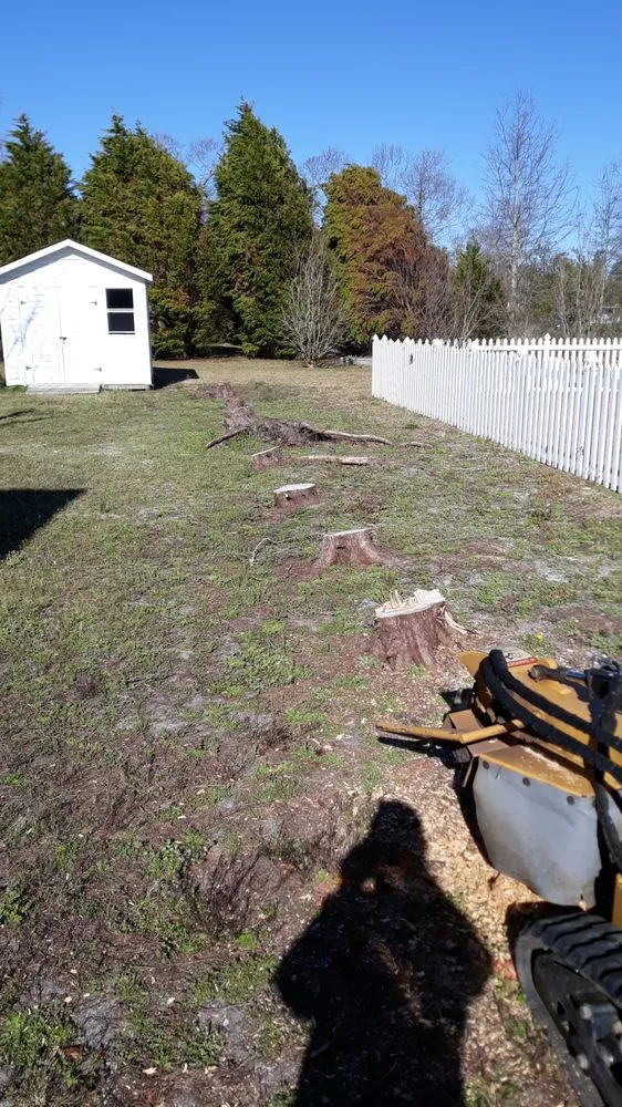 Local outdoor landscaping in Jacksonville, NC - Crazy Bear Lawn Care
