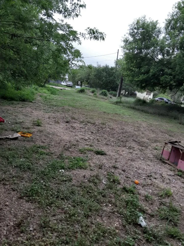 Top-rated yard maintenance in San Antonio, TX - Crazy Boys Lawn Service