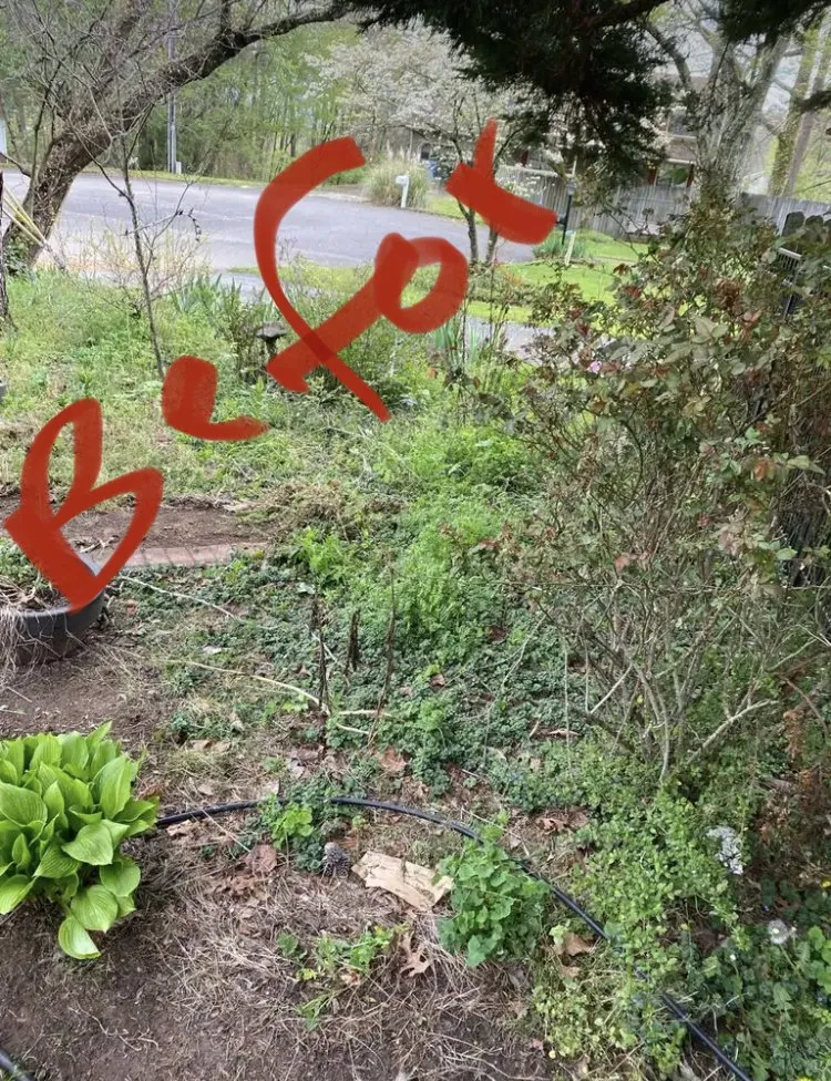 Top-rated yard maintenance in Hixson, TN - Crazy Boyz Lawn Works