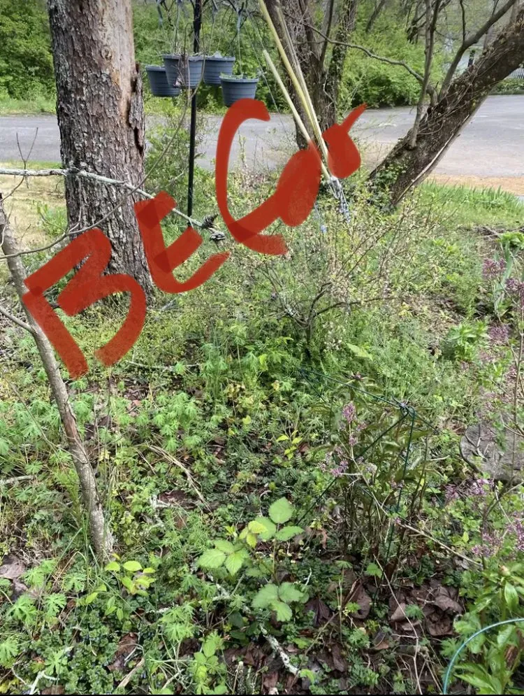 Trusted residential landscaping for year-round maintenance across Hixson, TN - Crazy Boyz Lawn Works