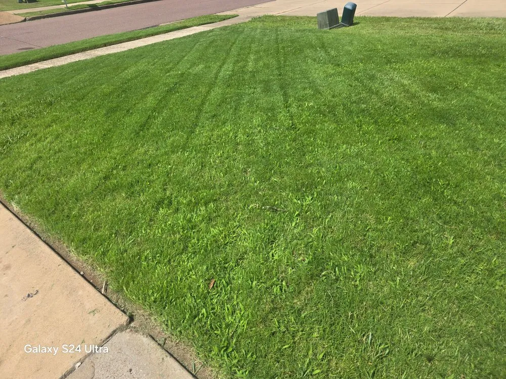 Trusted landscaping services in Southaven, MS - Crazy Comfort Cutz