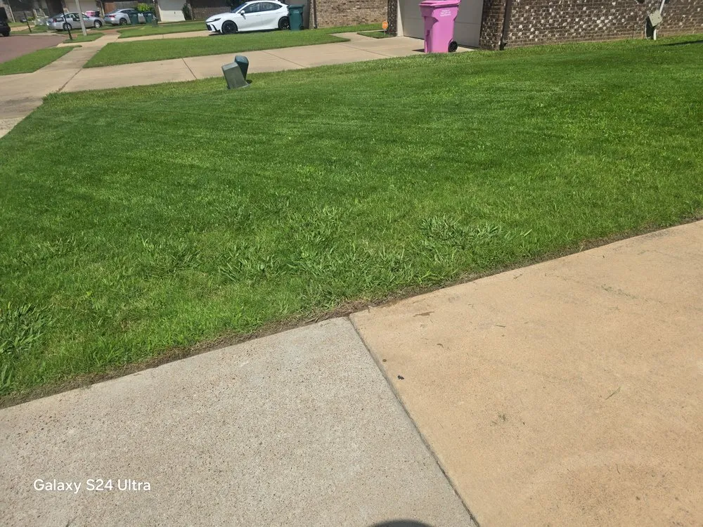 Affordable residential landscaping for year-round maintenance across Southaven, MS - Crazy Comfort Cutz