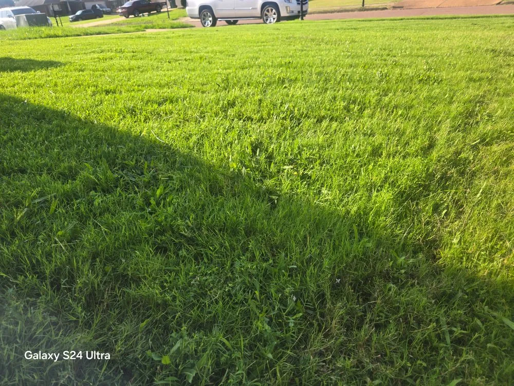 Affordable outdoor landscaping in Southaven, MS - Crazy Comfort Cutz