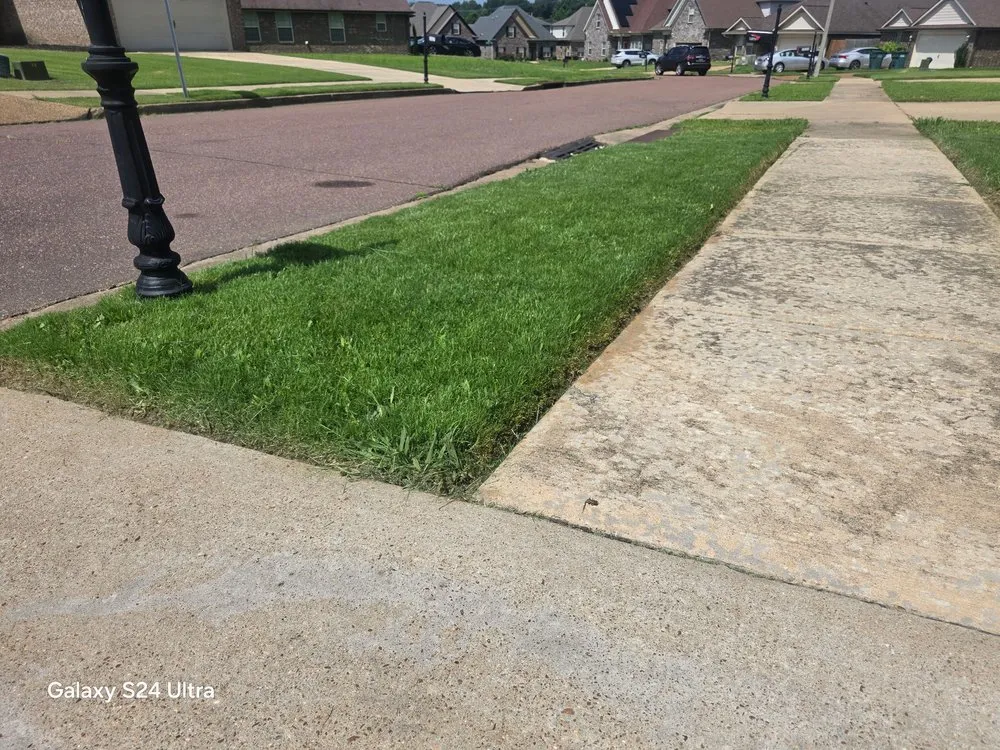 Affordable outdoor landscaping in Southaven, MS by Crazy Comfort Cutz