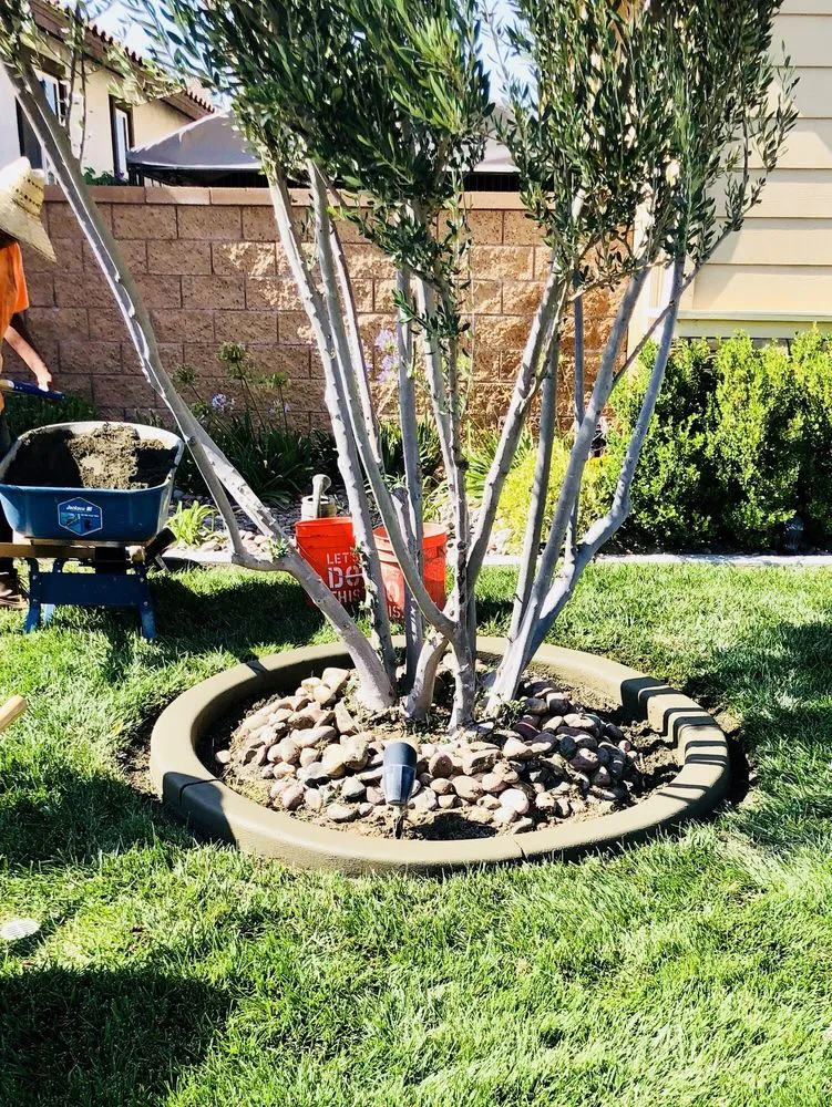 Top-rated landscape installation in Perris, CA by Crazy Curbs