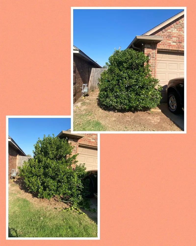 Professional yard maintenance in Edmond, OK - Crazy Cutz Landscaping
