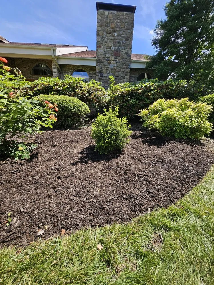 Professional lawn mowing service experts serving Canton, NC - Crazy Faith Lawn Service