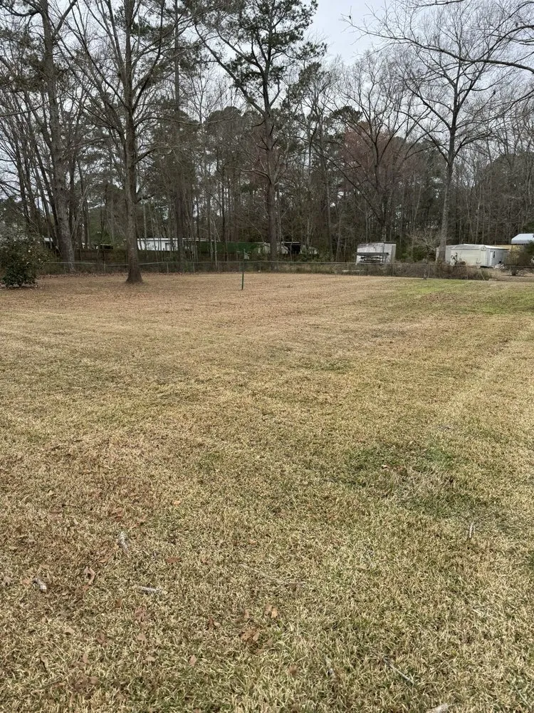 Reliable landscaping services for homes across Summerville, SC - Crazy G Lawn Service