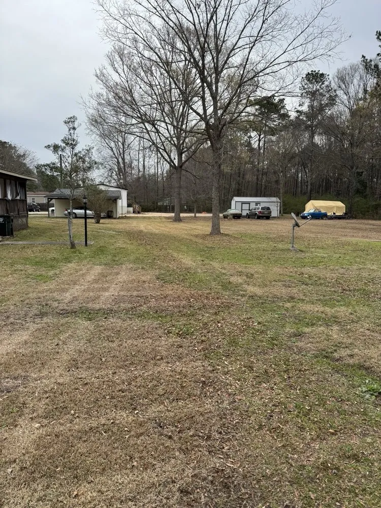 Reliable landscape design for year-round maintenance across Summerville, SC - Crazy G Lawn Service