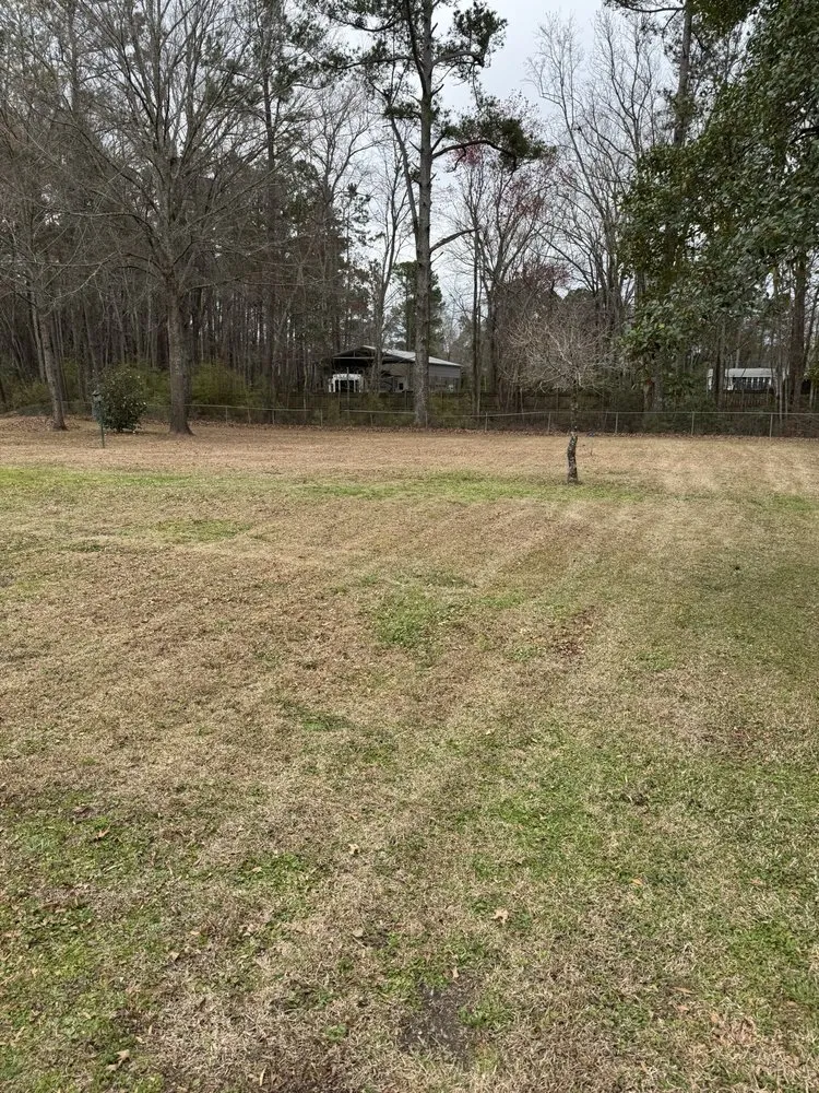 Affordable landscaping services in Summerville, SC - Crazy G Lawn Service