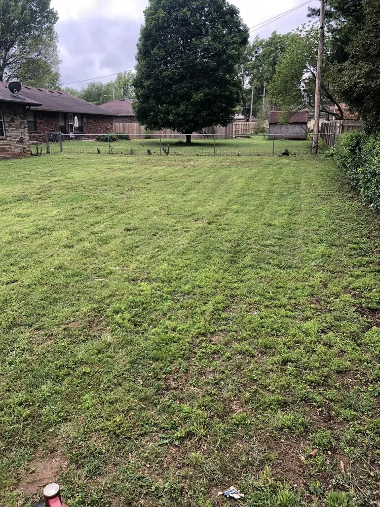 Top-rated landscape design for year-round maintenance in Summerville, SC by Crazy G Lawn Service