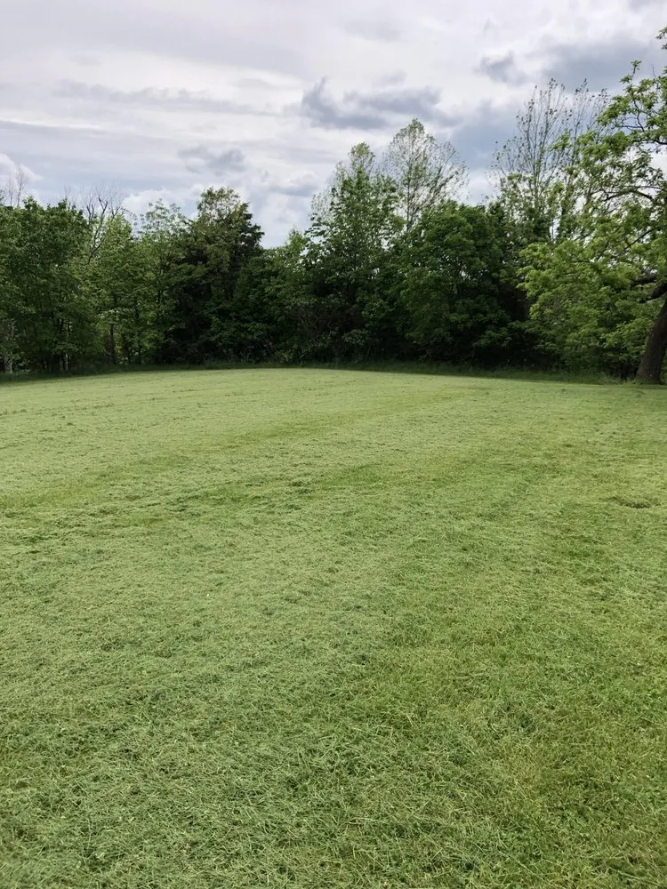 Trusted landscaping services for year-round maintenance in Summerville, SC by Crazy G Lawn Service