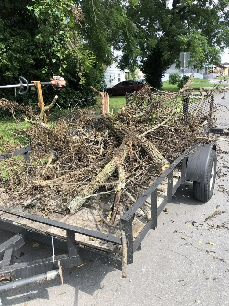 Affordable landscape installation experts serving Summerville, SC - Crazy G Lawn Service