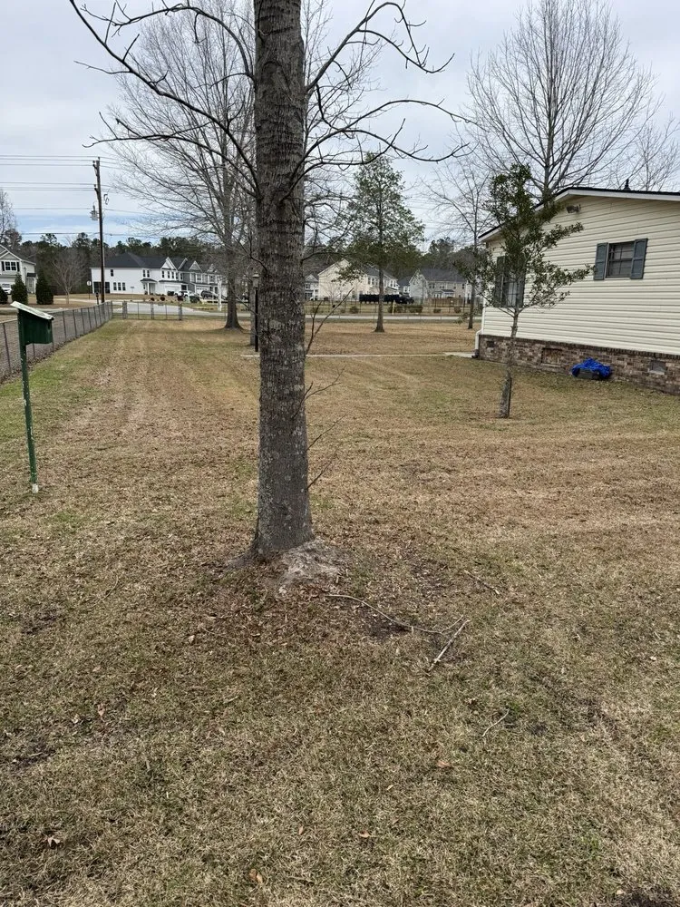 Expert landscaping services for beautiful yards in Summerville, SC by Crazy G Lawn Service