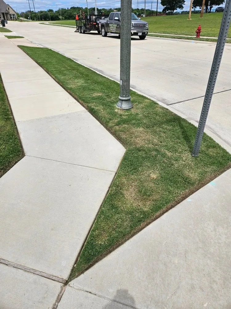 Top-rated yard cleanup service in Hudson Oaks, TX - Crazy Grass Lawn Care