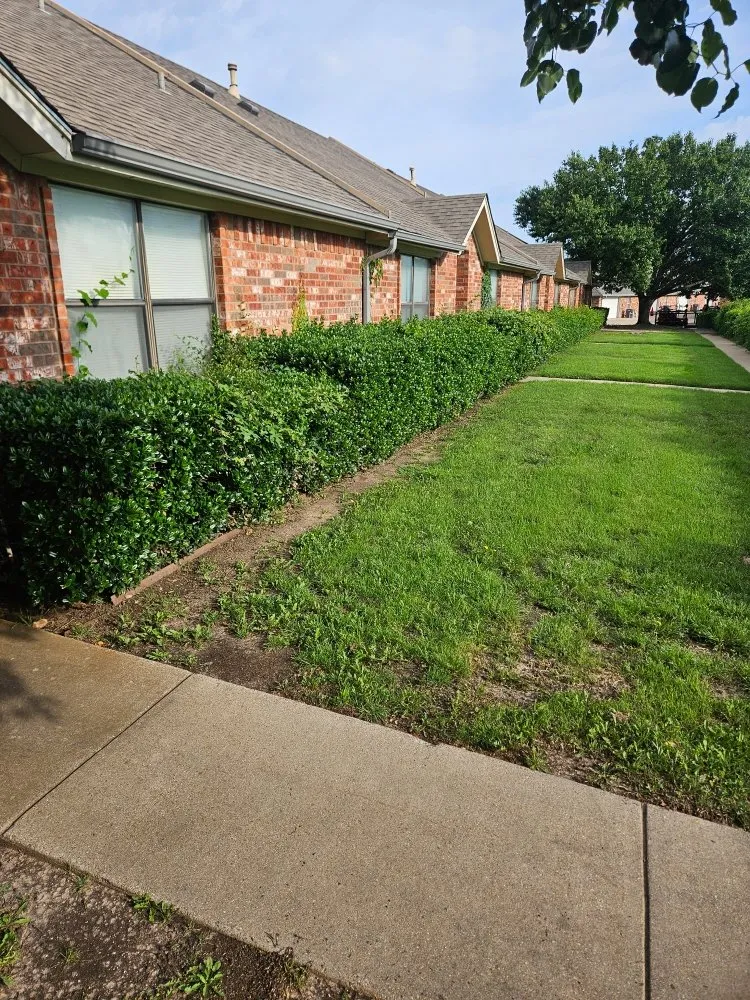 Local yard cleanup service in Hudson Oaks, TX - Crazy Grass Lawn Care