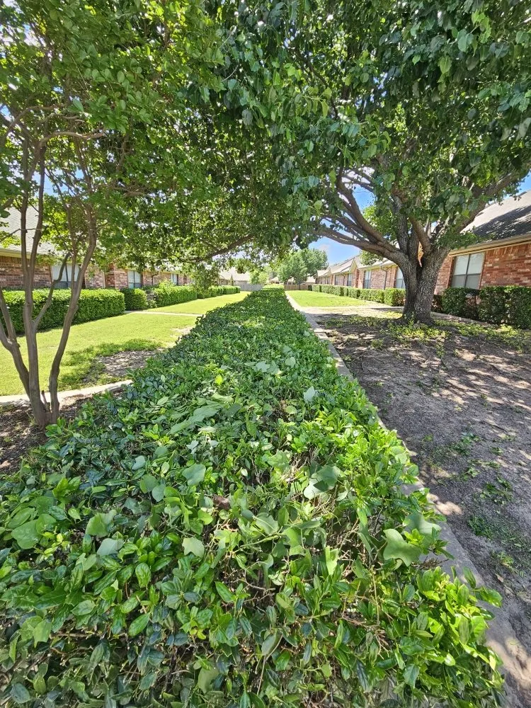 Reliable landscape installation for year-round maintenance in Hudson Oaks, TX by Crazy Grass Lawn Care