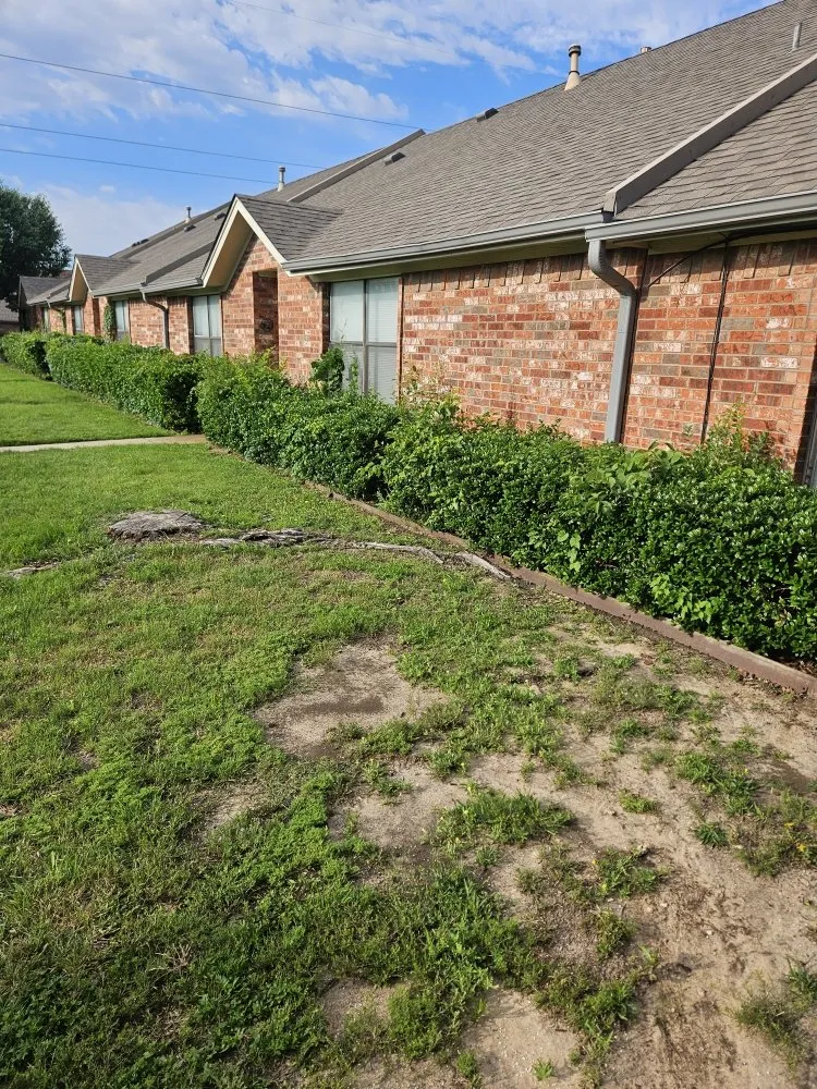 Affordable yard maintenance in Hudson Oaks, TX - Crazy Grass Lawn Care