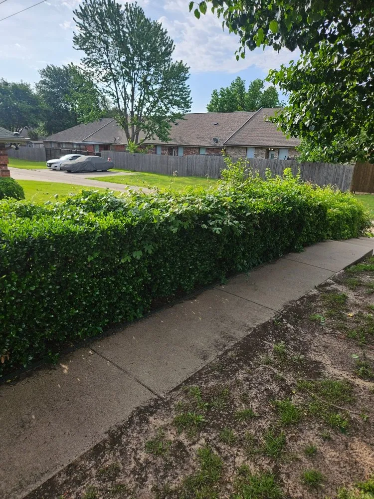 Expert landscaping services in Hudson Oaks, TX - Crazy Grass Lawn Care