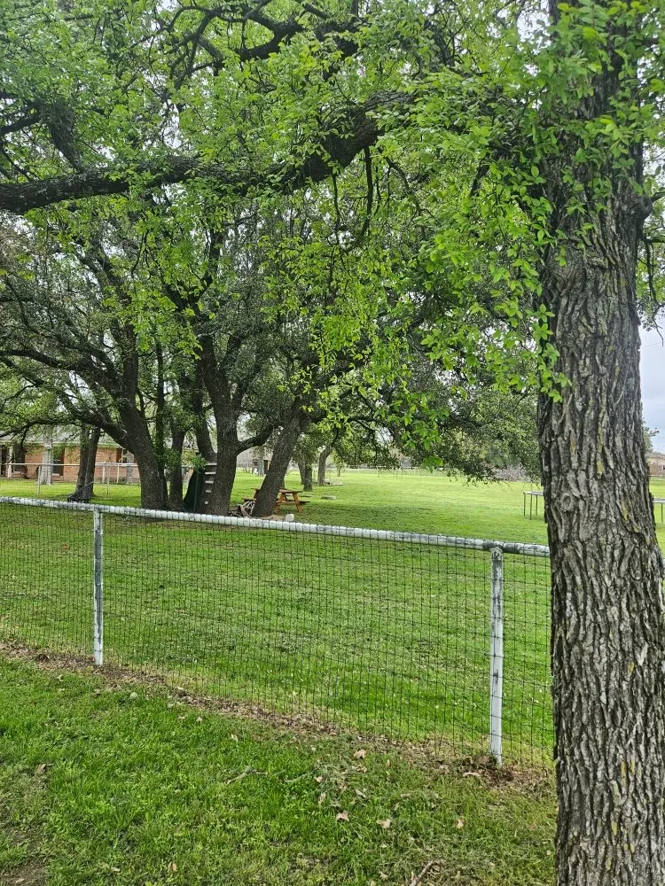Affordable residential landscaping for year-round maintenance across Hudson Oaks, TX - Crazy Grass Lawn Care