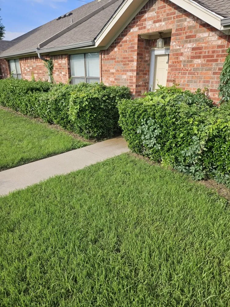 Local yard maintenance for outdoor upgrades in Hudson Oaks, TX by Crazy Grass Lawn Care